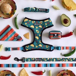 Frenchie Bulldog Taco Tuesday Harness + Leash